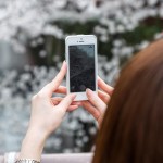 吉野の桜!おすすめの見ごろは?おすすめの歩き方は?