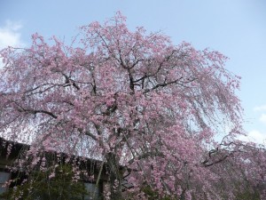 d6fc88ce14f30cfd007c1eb35cc93197_s