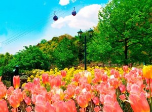 10376863_978897665526437_1653824670133793134_n