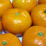 和歌山日帰りドライブ!和歌山のおすすめお出かけスポット10選!