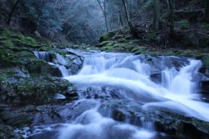 87c498820038f7b2cca903a6486ff5df_s