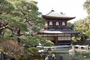 fd779a61fb57209aa88f35aa4dcb1e33_s