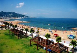 浦県民サンビーチ海水浴場！駐車場と車でのアクセス方法は？