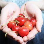 関西の味覚狩りin6月!果物狩りスポットおすすめ10選!